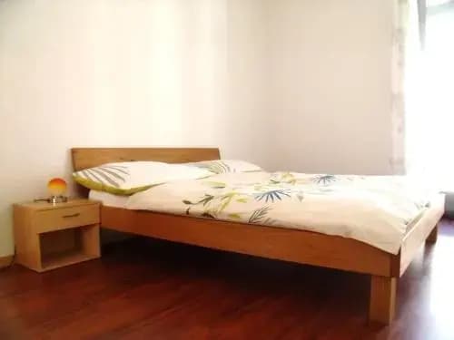 Swiss Holidays Apartment Rosenstrasse 10