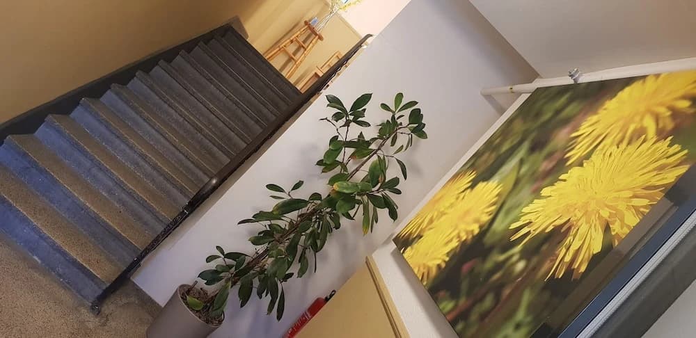 Easy-Living Apartments Lindenstrasse 21
