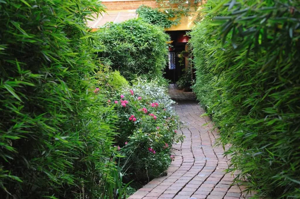 Les Patios du Marais 2